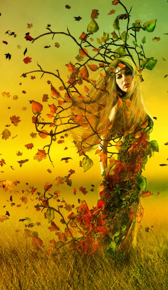 Songs for the Sun’s Day: Witch’s&nbsp;Reel