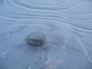 69981415_2679d499c4_n