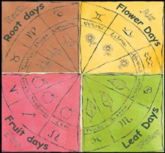 ConstellationCircle.jpg.w300h279[1]