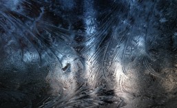 The Weight of&nbsp;Living