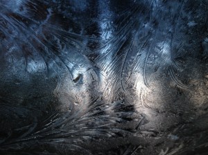 11656967775_003652c1dd_o