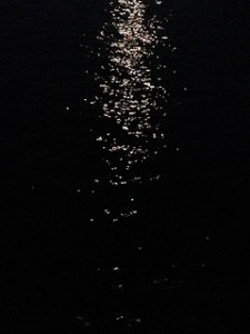 14448002180_47f1e79874_n