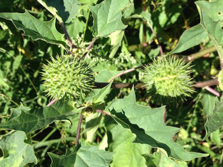 15167693775_7298bd2285