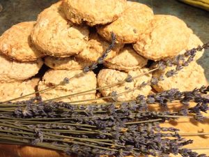 15358878151_fde53eaed8[1]