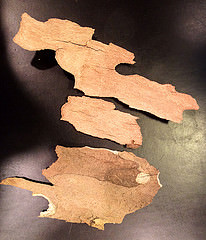 15368731835_7085de7a91_m