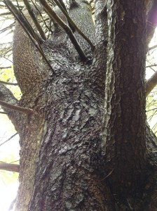 15235331278_3a68e66ebf_k