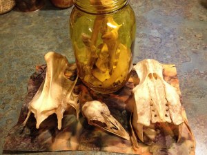 Ready for the next step.