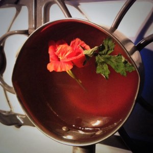 Mugwort, nasturtium, honey, three waters of women.