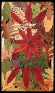 15547038782_23c9ad4a04_k