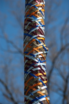 9 Things I Love About My&nbsp;Grove