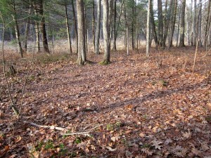 6376838399_5230444731_z