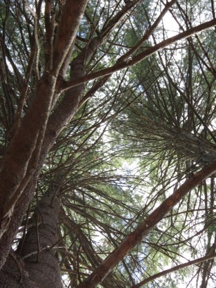 7294830668_6ac2134bab_k