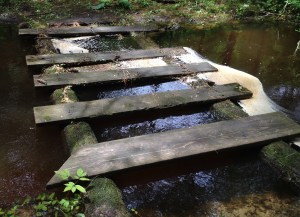 9041878957_2b958d0ecd_k