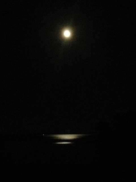 Charge of the&nbsp;Crone