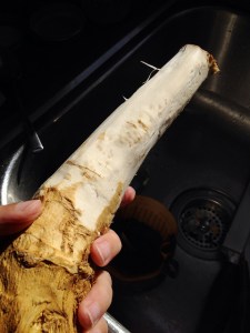 15706120322_ed6594ced0_z