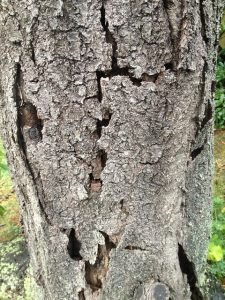 15238057931_d3f9427b01_z