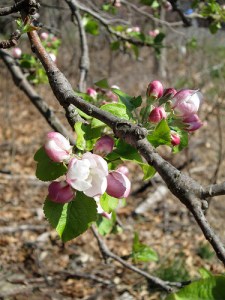 7294832570_648f26271e