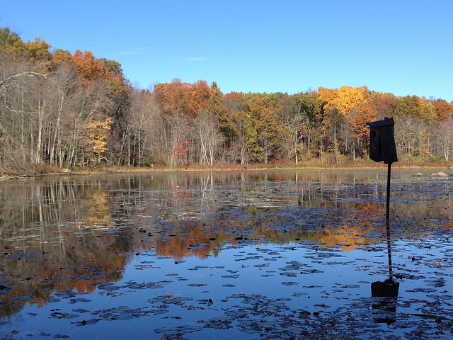 Best News I’ve Had All Week