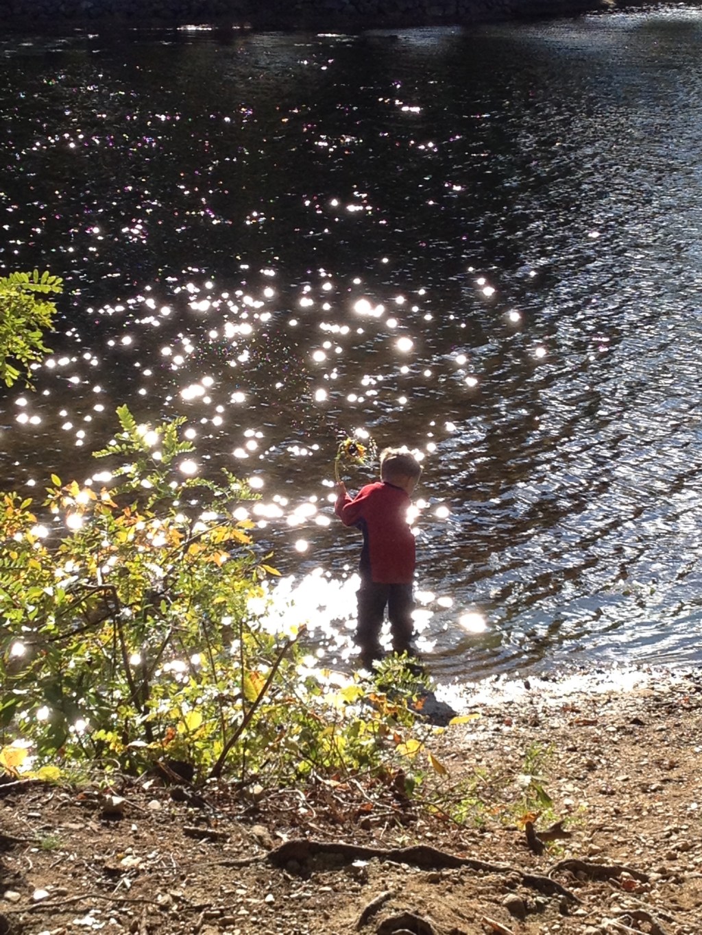 Why do the Gods help&nbsp;us?