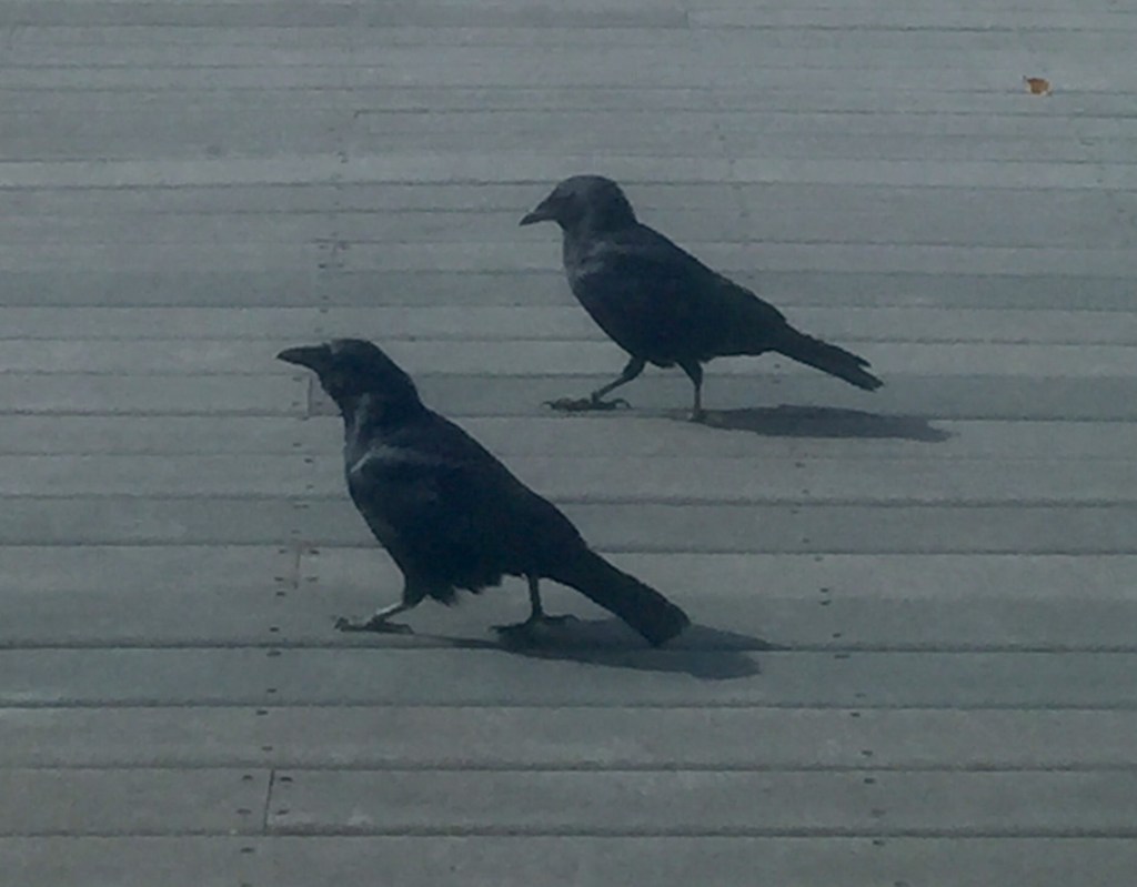 Preparing for the&nbsp;Journey