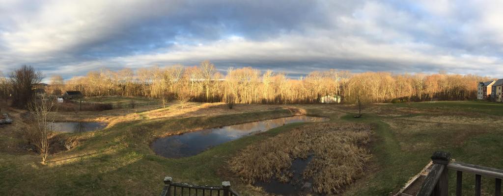 Upwellings: Peace in a Time of&nbsp;Fascism