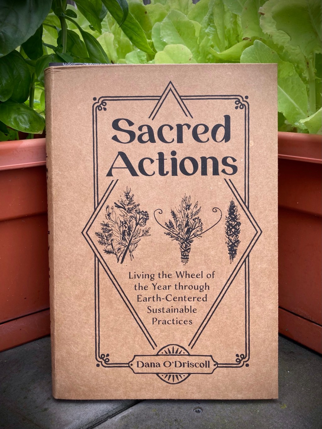 Review: Sacred Actions by Dana&nbsp;O’Driscoll