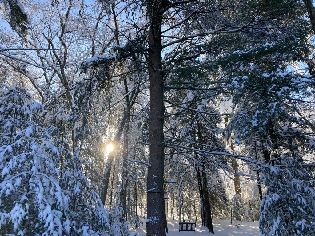 Tips For Outdoor Ritual All Year&nbsp;Long